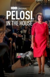 Pelosi in the House
