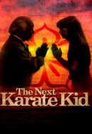 Gledaj The Karate Kid Part IV Online sa Prevodom