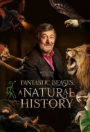 Gledaj Fantastic Beasts: A Natural History Online sa Prevodom