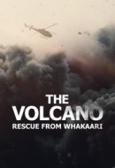 Gledaj The Volcano: Rescue from Whakaari Online sa Prevodom