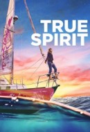 Gledaj True Spirit Online sa Prevodom