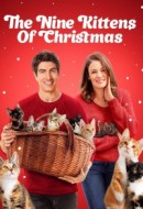 Gledaj The Nine Kittens of Christmas Online sa Prevodom