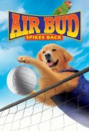 Gledaj Air Bud: Spikes Back Online sa Prevodom