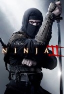 Gledaj Ninja: Shadow of a Tear Online sa Prevodom