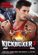 Gledaj Kickboxer 3: The Art of War Online sa Prevodom