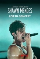 Gledaj Shawn Mendes: Live in Concert Online sa Prevodom
