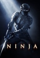 Gledaj Ninja Online sa Prevodom