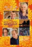Gledaj The Best Exotic Marigold Hotel Online sa Prevodom
