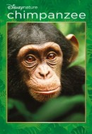Gledaj Chimpanzee Online sa Prevodom