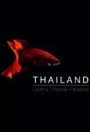 Gledaj Thailand: Earth's Tropical Paradise Online sa Prevodom