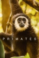 Gledaj Primates Online sa Prevodom