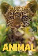 Gledaj Animal Online sa Prevodom