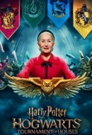 Gledaj Harry Potter: Hogwarts Tournament of Houses Online sa Prevodom