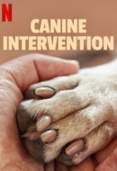 Gledaj Canine Intervention Online sa Prevodom
