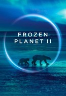Gledaj Frozen Planet II Online sa Prevodom