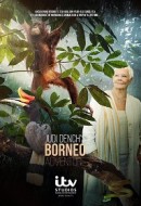 Gledaj Judi Dench's Wild Borneo Adventure Online sa Prevodom